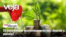 Dá para crescer economicamente sem destruir o planeta?