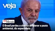 O Brasil perdeu a chance de liderar a pauta ambiental, diz especialista