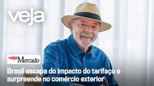 Brasil escapa do impacto do tarifaço e surpreende no comércio exterior | Mercado