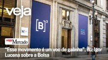 Alta da Bolsa é artificial e movida a gasto público, diz economista