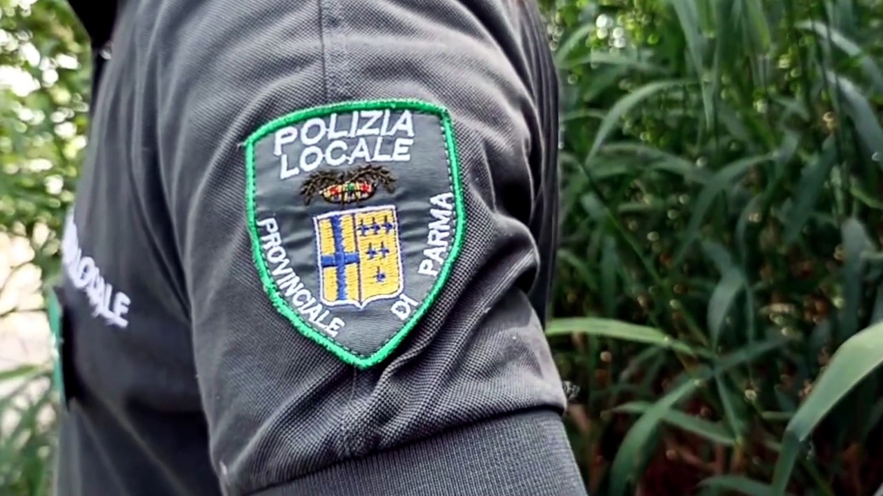 POLIZIA PROVINCIALE DI PARMA Bilancio Dei Controlli Sul Fiume Po 006 Video