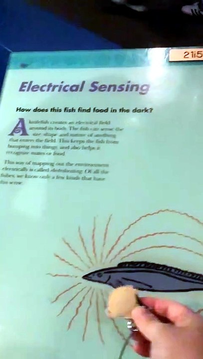 Electrical sensing