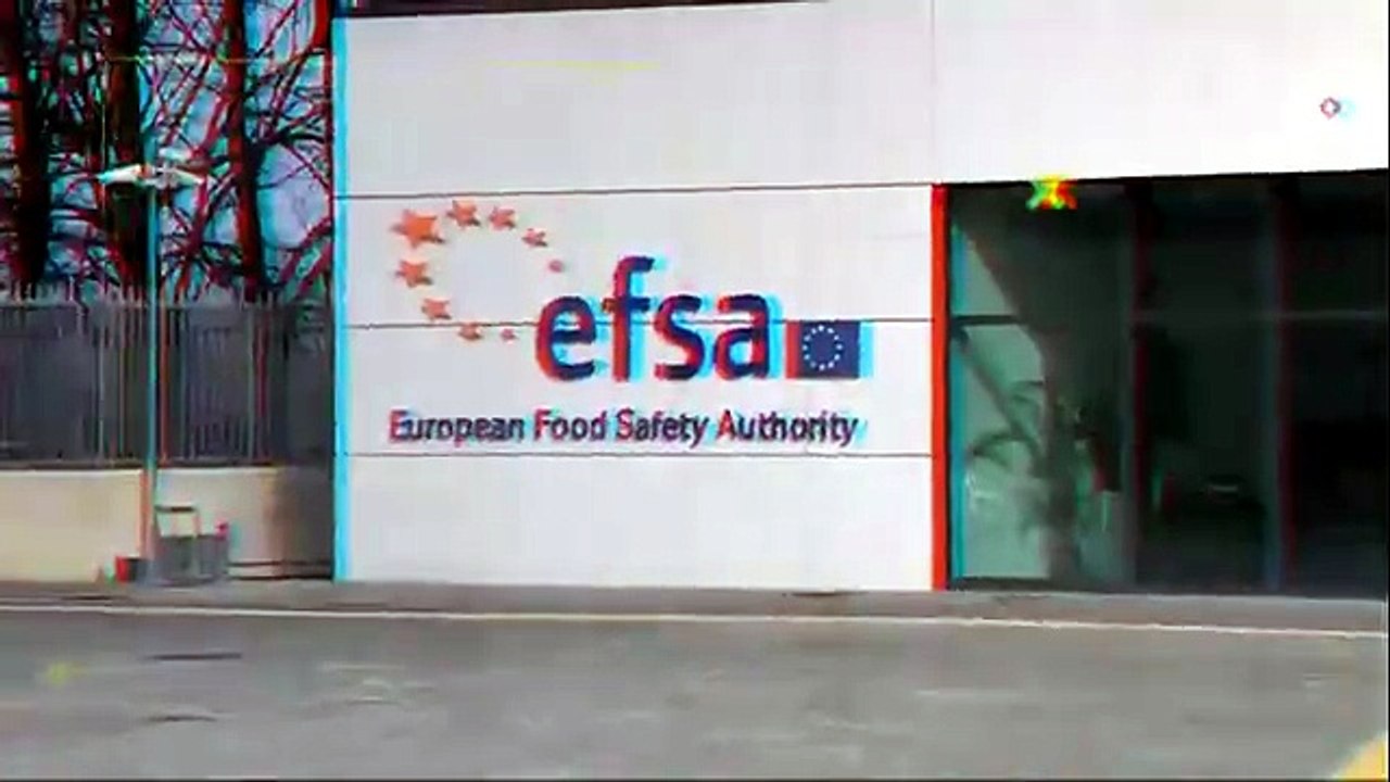 2025-08-05