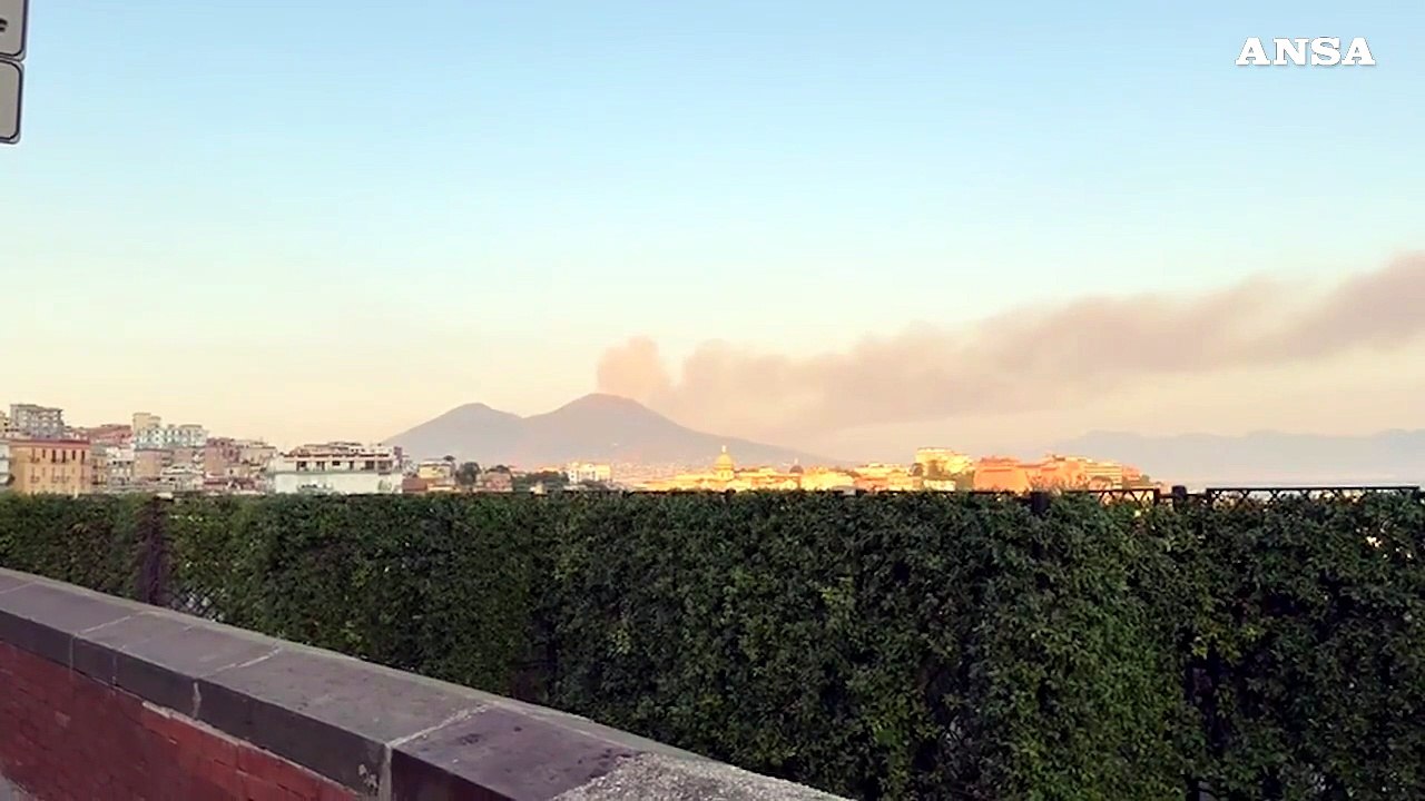 Fiamme sul Vesuvio, colonna di fumo visibile anche da Napoli