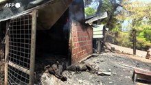 Incendio devasta il villaggio di Psachna sull'isola greca di Evia