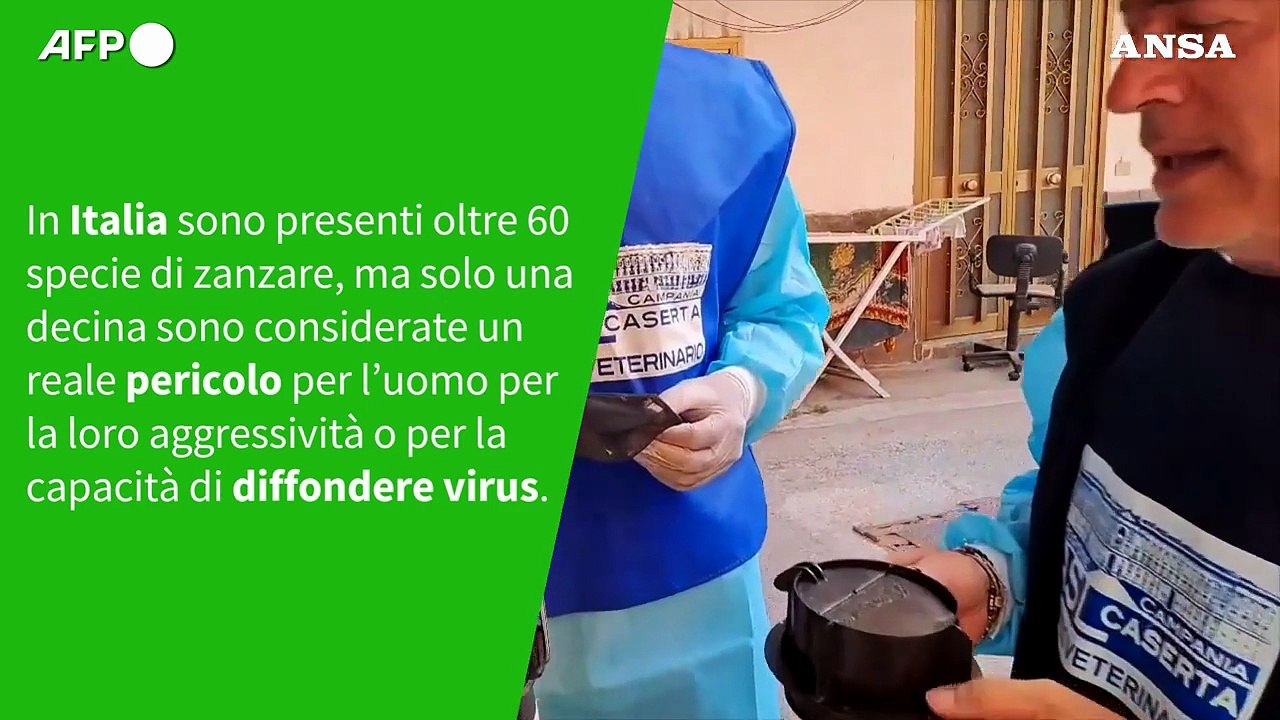 Ansa VERIFIED - E' vero che le zanzare sono molto pericolose anche in Italia?