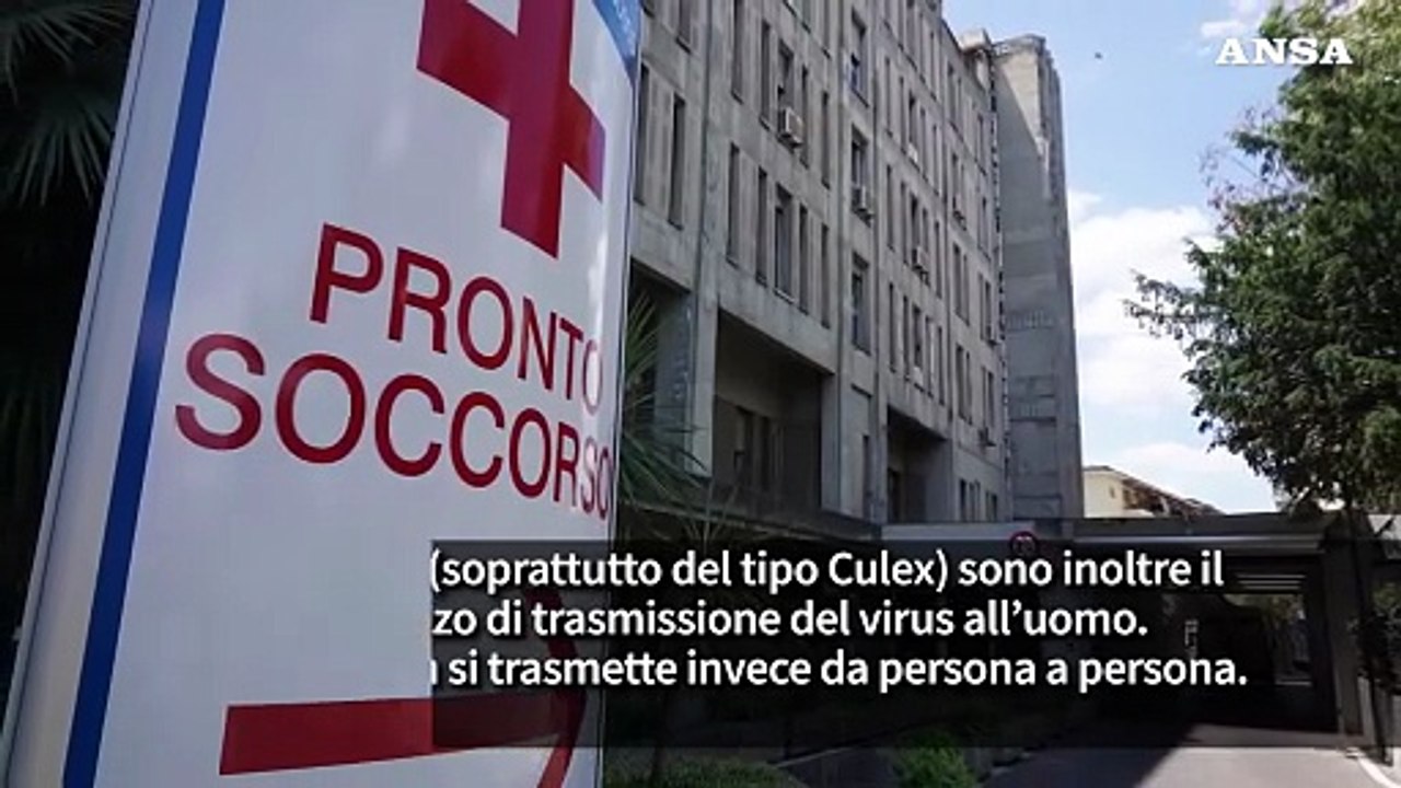 Come si diffonde il virus West Nile: il ruolo di uccelli selvatici e zanzare