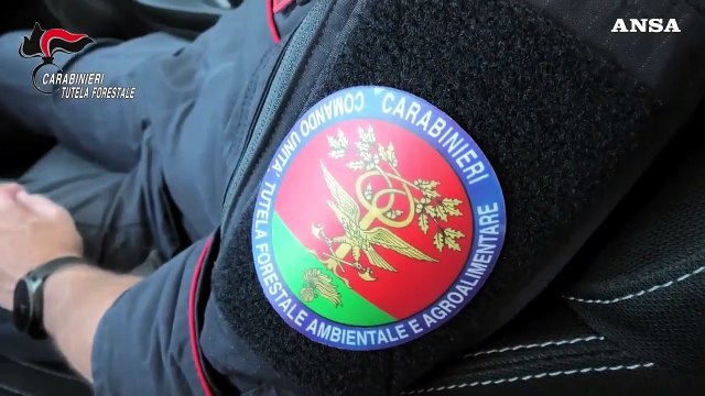 Bruciano 500 chili di cavi per recuperare il rame, due arresti a Palermo