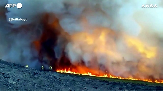 Spagna, prosegue senza sosta l'assedio dei roghi nel Nord-ovest del Paese