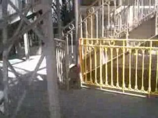 Garnier florent elodie et guillaume dans la toure eiffel