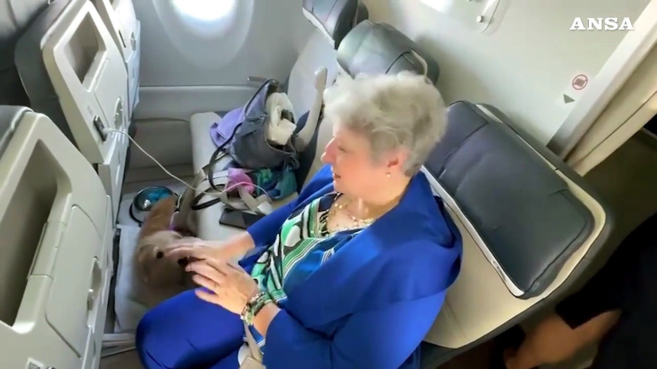 Su Ita il primo volo con due cani in cabina senza trasportino