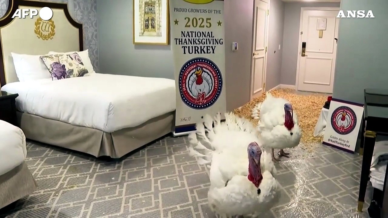 Washington, alla Casa bianca fra Thanksgiving e preparativi per le feste natalizie