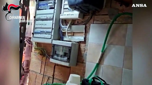 Reggio Calabria, scoperto bunker sotterraneo con piantagione di marijuana