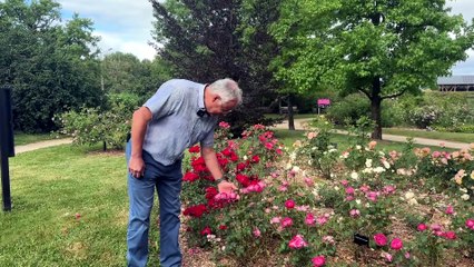 Un anniversaire fleuri &agrave; Saint-Galmier