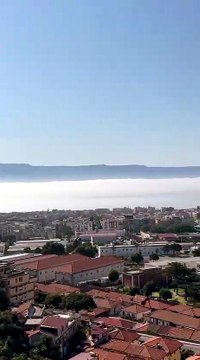 Lupa nello stretto di Messina