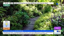 05/06/2026 - ici matin par ici Maine en vidéo