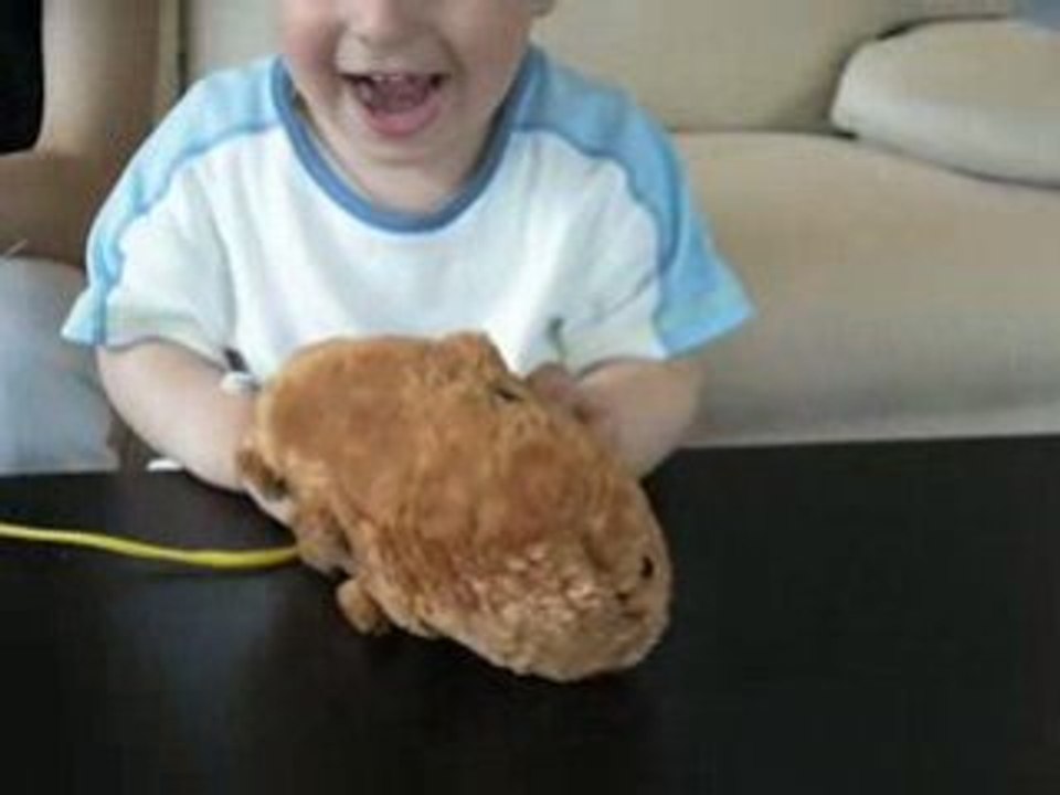 Le hamster qui sent tjs bon