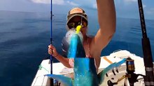 Bottom FISHING for Snapper and Permit in Florida