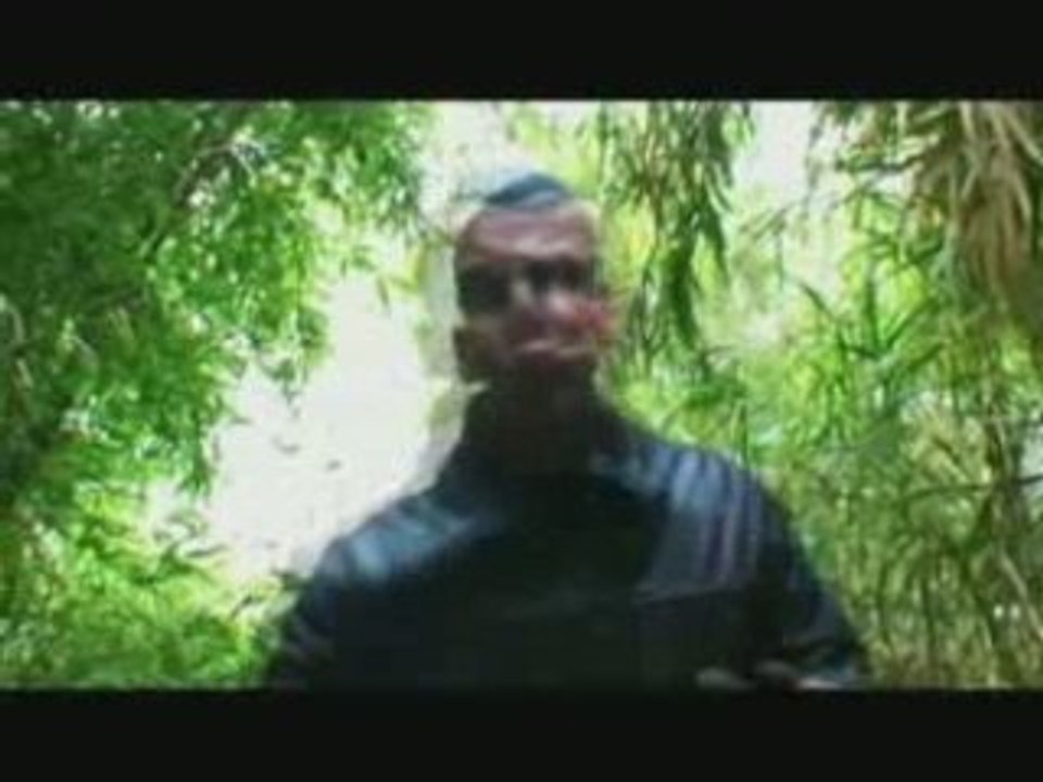 Clip - Ragga - Soundkail - Fleur Tropicale