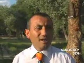 cizgili ishak kusu www.sanliurfa.com