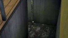 جراني2 ضد جراني3