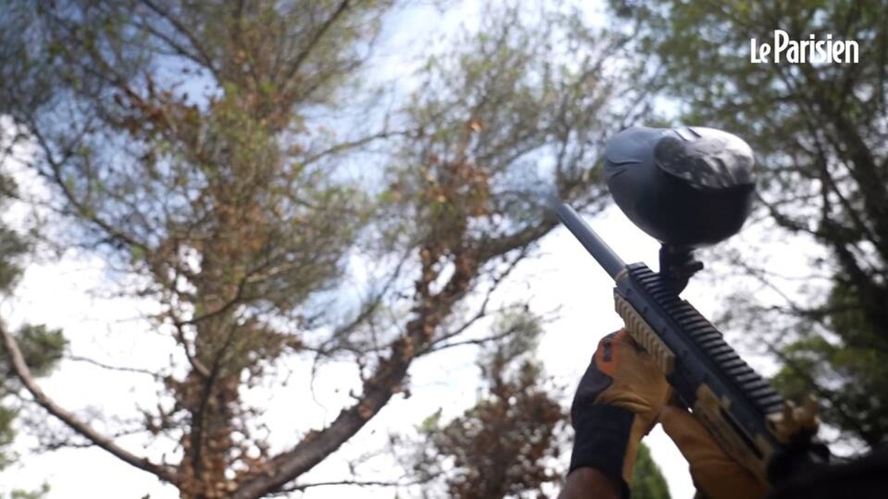 Pascal tire au paintball pour lutter contre les chenilles processionnaires