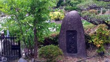 水月公園のショウブ2026