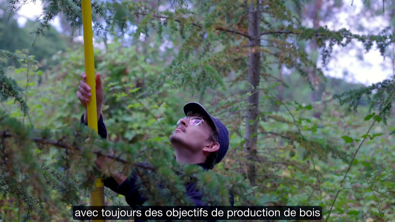 Projet REINFFORCE : Arboretum de Sarlande en Dordogne