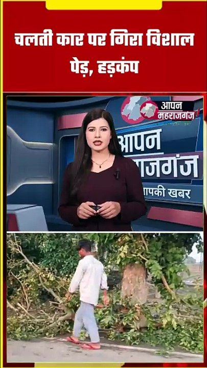 चलती कार पर अचानक गिरा विशाल पेड़! महराजगंज में तेज आंधी से बड़ा हादसा | 2 घायल