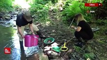 Ordu'da altın avcıları derelerde iz peşinde