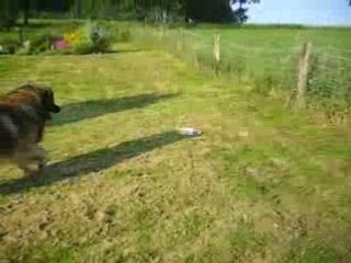 eclair en juin 2008