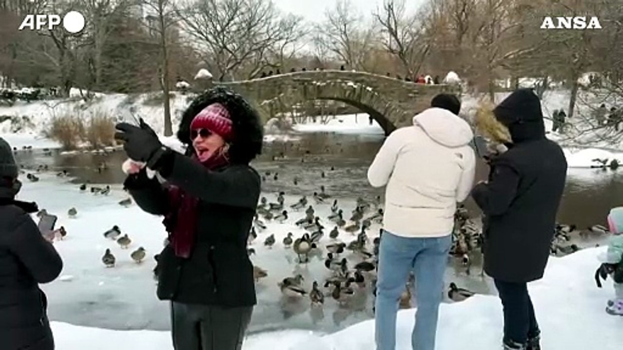Non solo disagi, lo spettacolo di New York sotto la neve