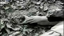 Άγγελος με χειροπέδες (1952)