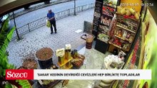 'Sakar' kedinin devirdiği cevizleri hep birlikte topladılar