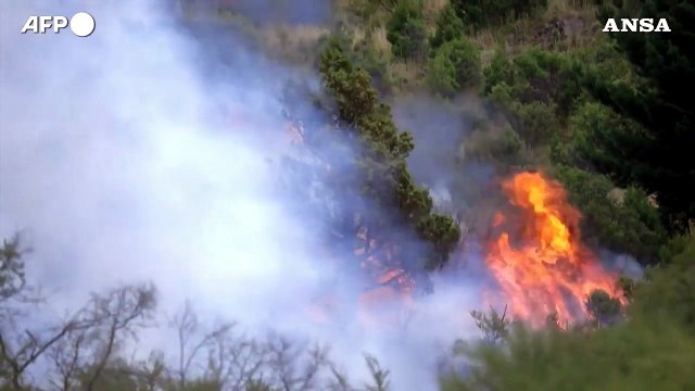 Brucia la Patagonia argentina, divorati dalle fiamme oltre 60mila ettari