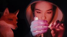 A Fox Under a Pink Moon: Trailer HD VO st FR/NL