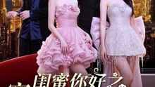 AI - 闺蜜你好之穿书富家妯娌，我和闺蜜齐上阵！