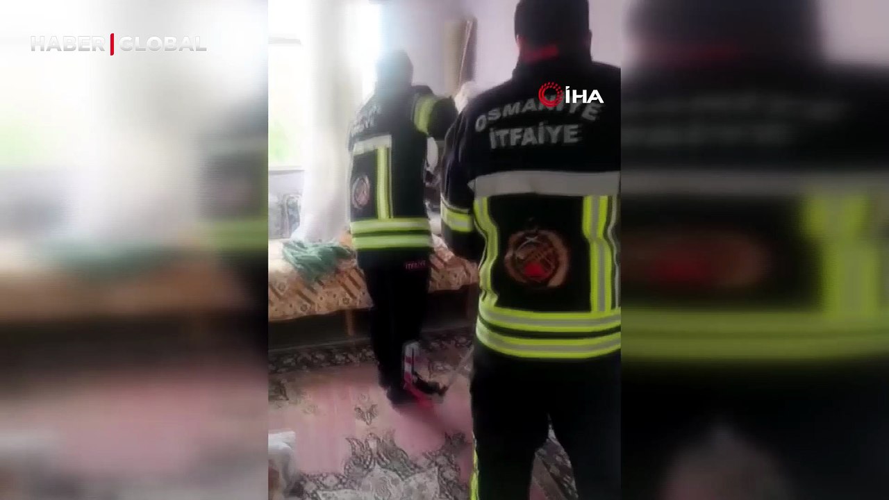 Yatak ve halıların arasına saklanan yılanın boyu şaşırttı