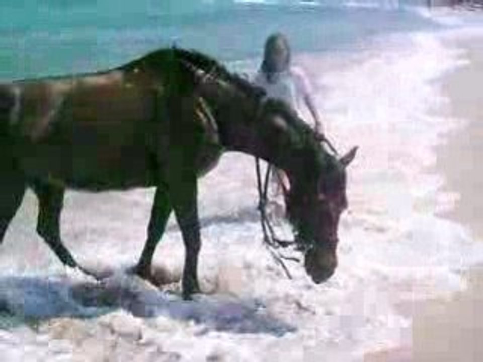 cali a la plage