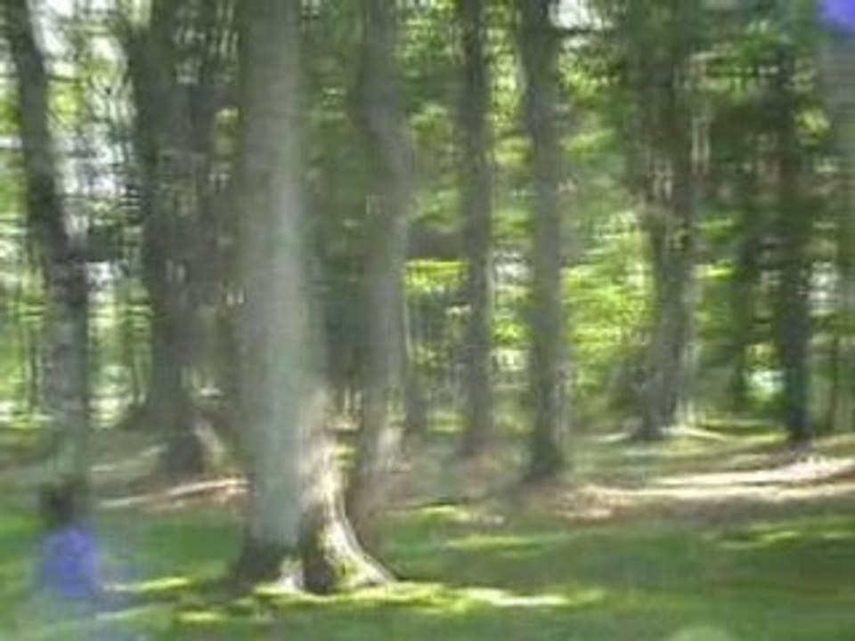 M2U00090