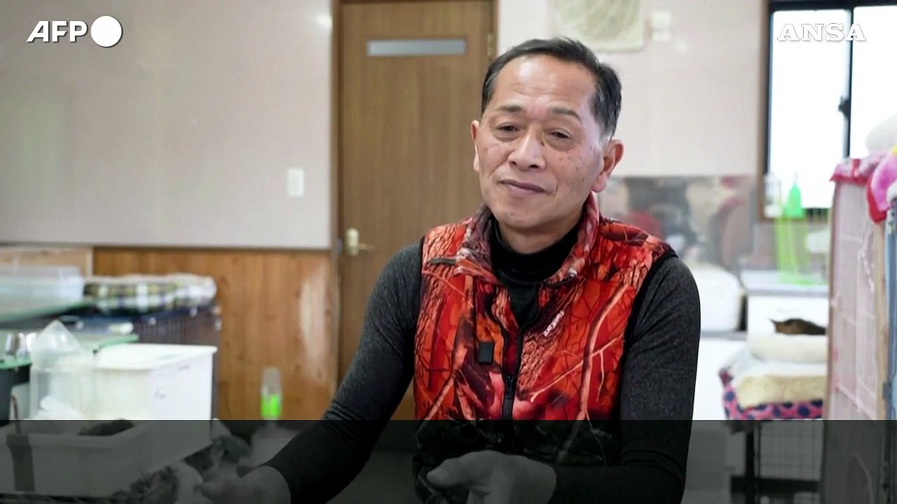 Ex operaio di Fukushima salva gli animali abbandonati nella fuga