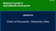 115 - Chart of Accounts: Hierarchy View