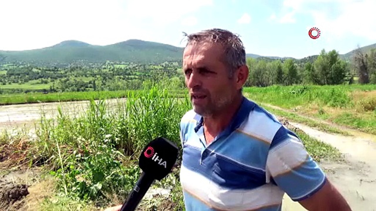 Şeker hastalarının büyük ilgi gösterdiği sarıkılçık çeltiğinin ekimine başlandı