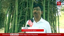 పోలవరం ఏజెన్సీలో పెద్దపులి - త్వరలోనే పట్టుకుంటామంటున్న అధికారులు