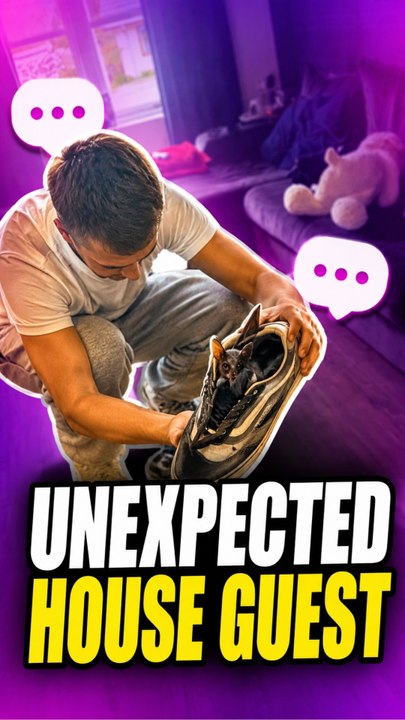 The son discovers a baby bat sleeping inside his shoe before wearing it