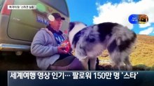 150만 팔로워 ‘스타견’ 훔쳐 식용 도살