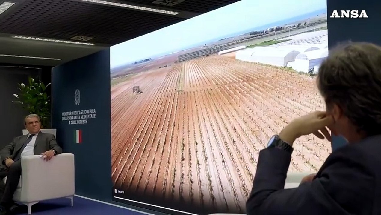 Agea, una nuova app per far "parlare" i territori che producono vino