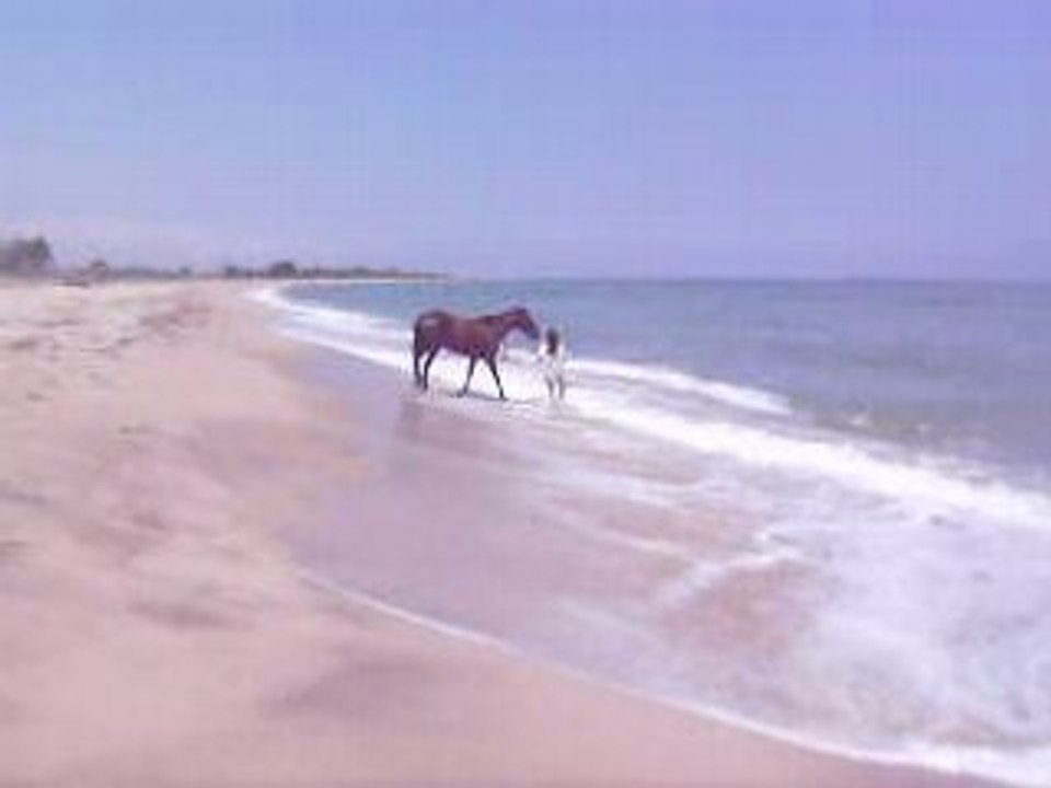 cali playa