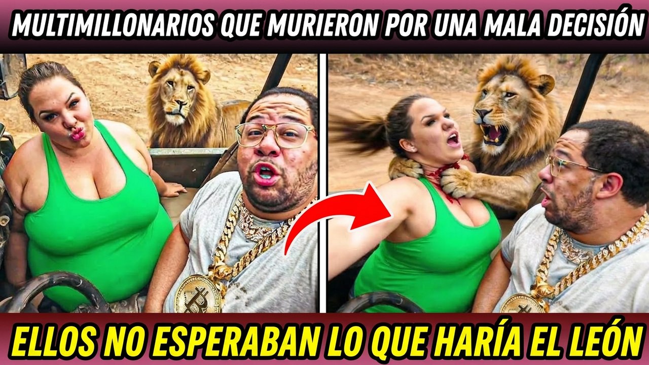 Lo que le hizo el león a quien lo cuidó te dejará en shock ¡Tenían todo, pero así murieron!