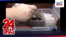 Expert’s tip para masustansya ang baon – Samahan ng prutas at gulay at maging adventurous sa pagpili ng mga sangkap | 24 Oras